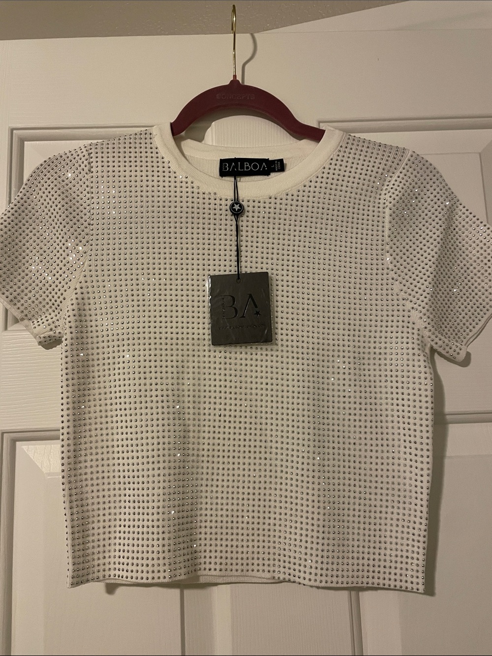 Balboa White Short-Sleeve Embellished Crop Top
